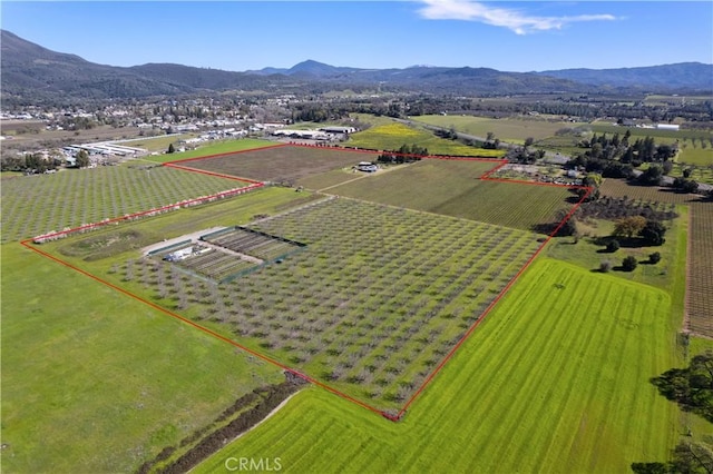 drone / aerial view featuring a rural view and a mountain view