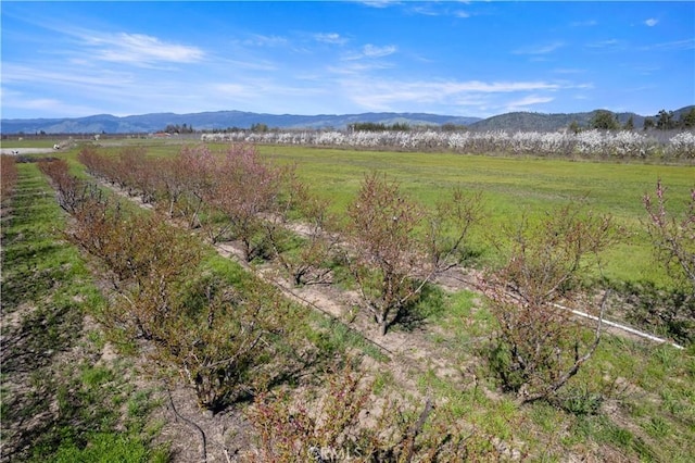 property view of mountains with a rural view