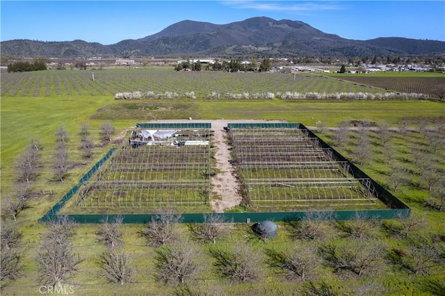 drone / aerial view with a mountain view and a rural view