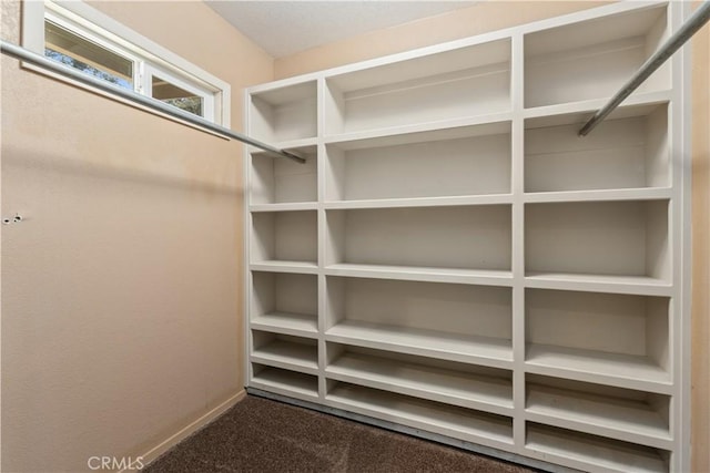 spacious closet featuring dark colored carpet