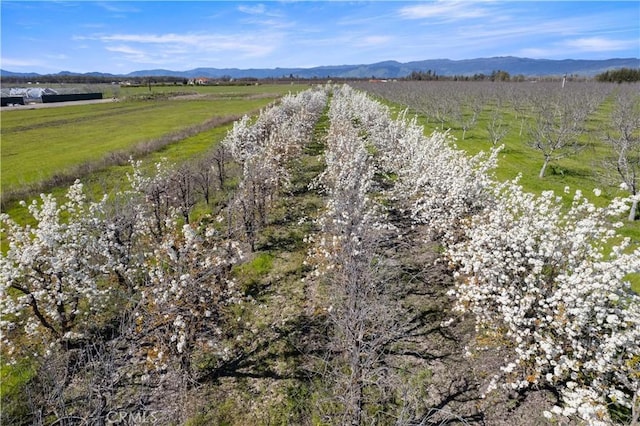 bird's eye view featuring a rural view and a mountain view