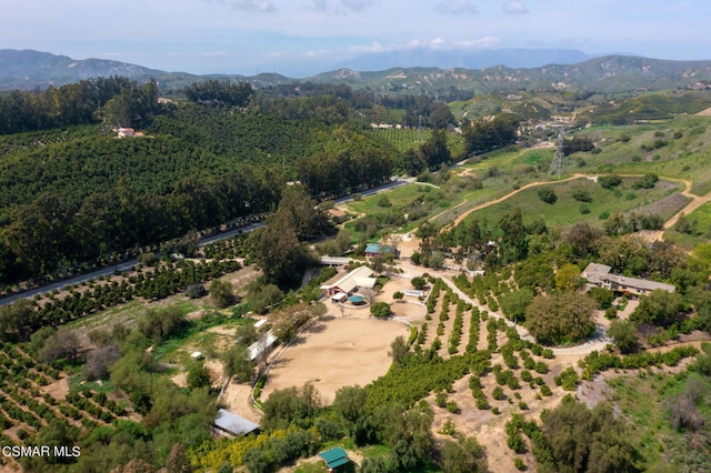 birds eye view of property featuring a mountain view