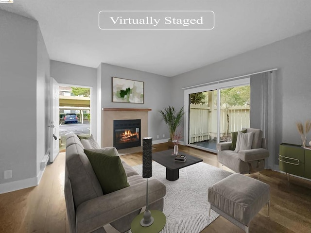 living room with hardwood / wood-style floors and a healthy amount of sunlight