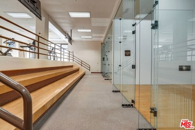 hall with a paneled ceiling and light carpet