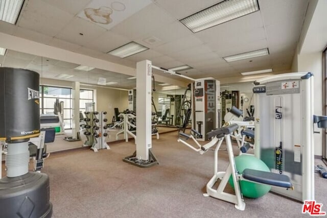 gym featuring carpet floors and a paneled ceiling