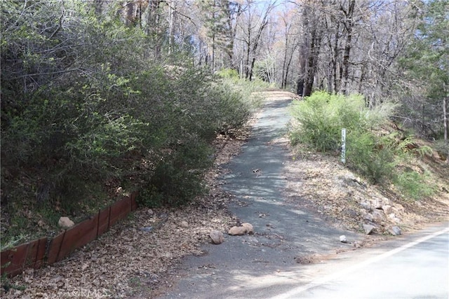 11260 Loch Lomond Rd, Loch Lomond, CA 95426 - photo 2