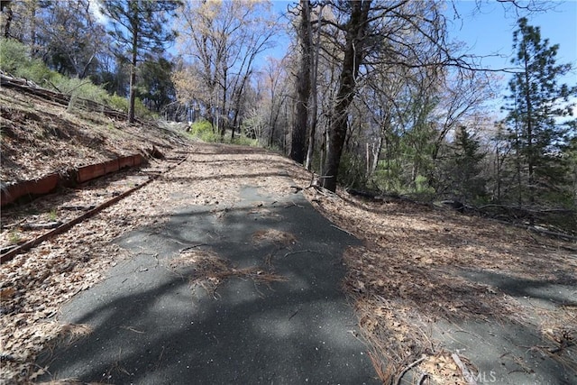 11260 Loch Lomond Rd, Loch Lomond, CA 95426 - photo 5