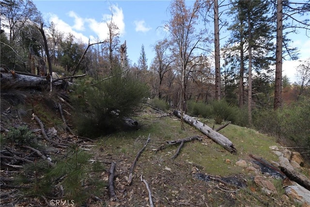 11260 Loch Lomond Rd, Loch Lomond, CA 95426 - photo 7
