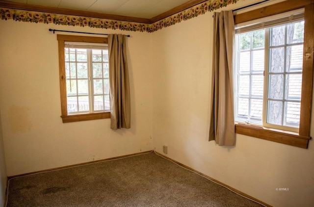 unfurnished room featuring carpet floors and ornamental molding