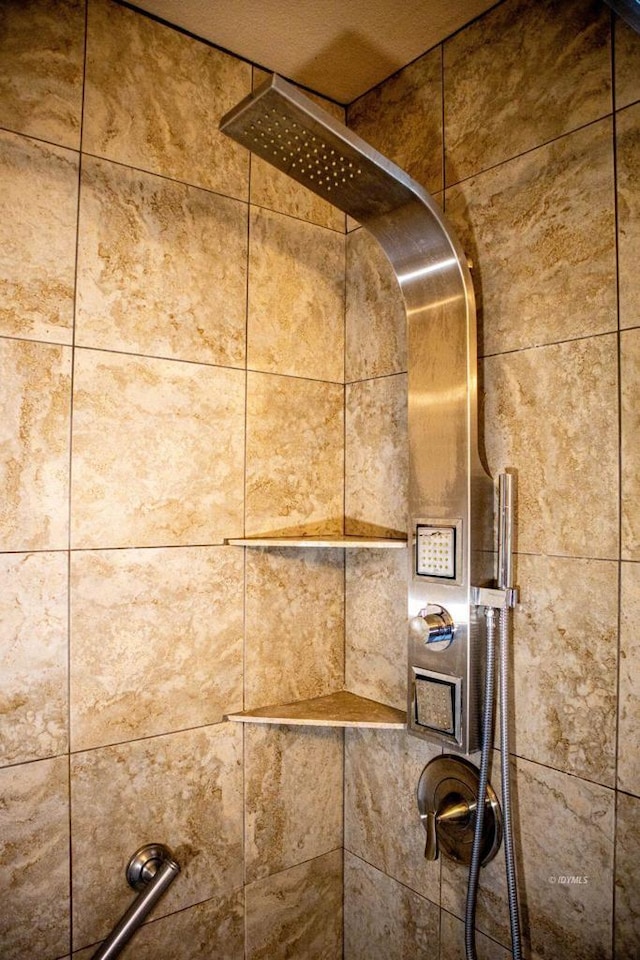 room details with tiled shower