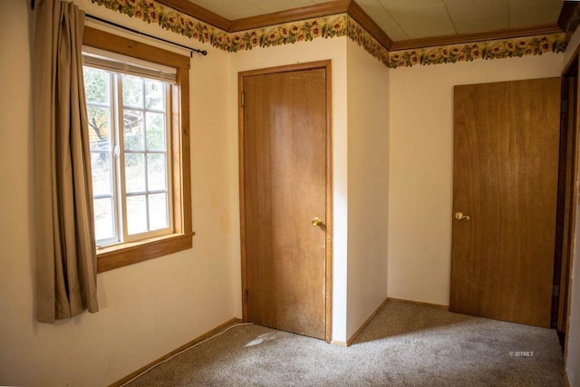 unfurnished bedroom featuring carpet flooring, crown molding, and a closet