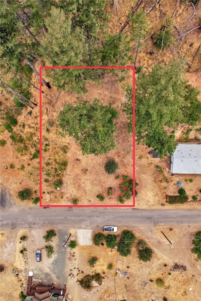 11541 Anderson Springs Rd, Middletown, CA 95461 - photo 4