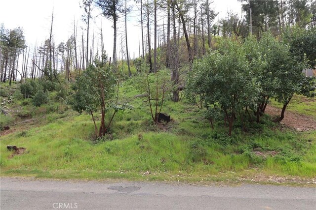 11541 Anderson Springs Rd, Middletown, CA 95461 - photo 11