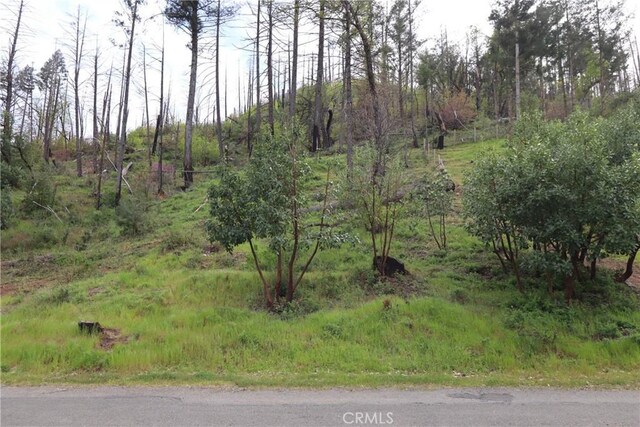11541 Anderson Springs Rd, Middletown, CA 95461 - photo 12