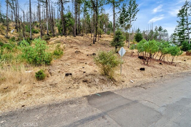 11541 Anderson Springs Rd, Middletown, CA 95461 - photo 5