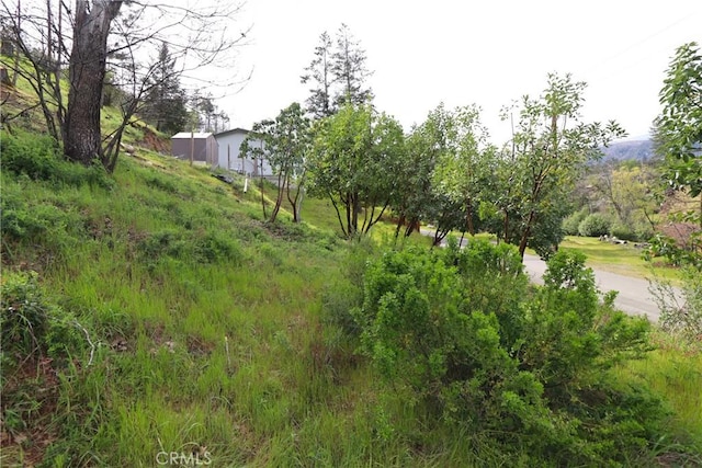 11541 Anderson Springs Rd, Middletown, CA 95461 - photo 8