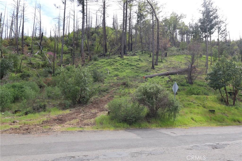 11541 Anderson Springs Rd, Middletown, CA 95461 - photo 14