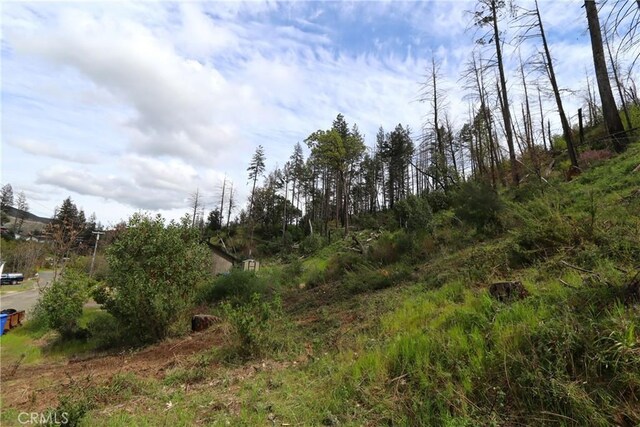 11541 Anderson Springs Rd, Middletown, CA 95461 - photo 2