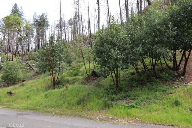 11541 Anderson Springs Rd, Middletown, CA 95461 - photo 10