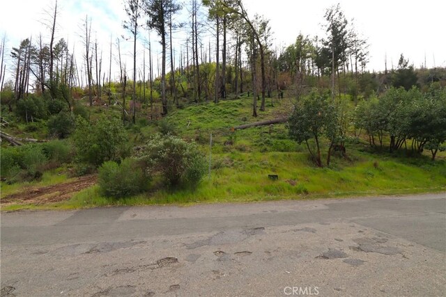 11541 Anderson Springs Rd, Middletown, CA 95461 - photo 3