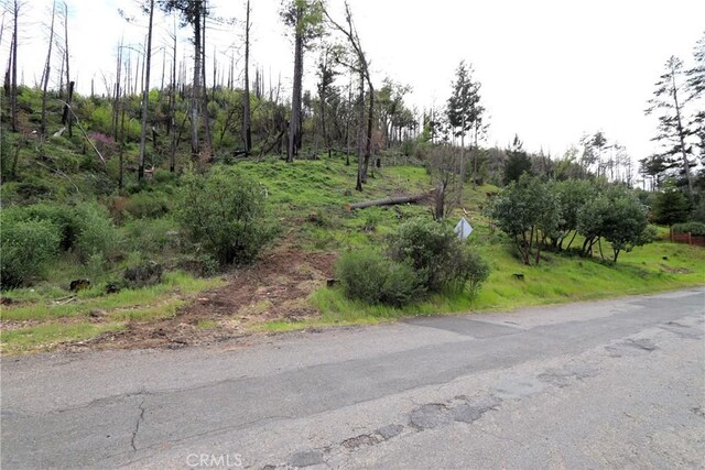 11541 Anderson Springs Rd, Middletown, CA 95461 - photo 7