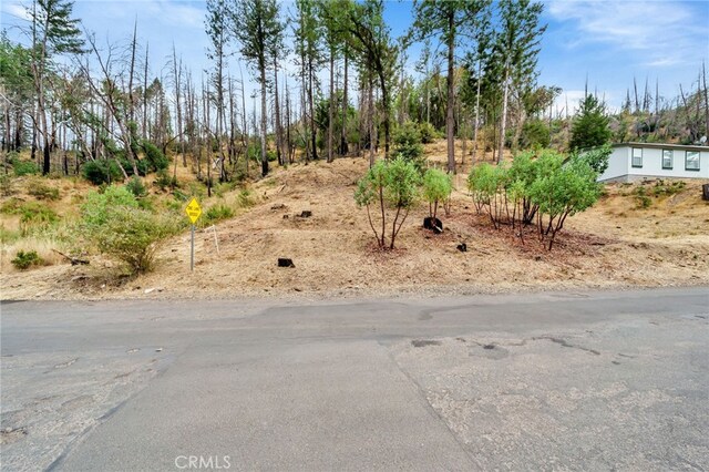 11541 Anderson Springs Rd, Middletown, CA 95461 - photo 6
