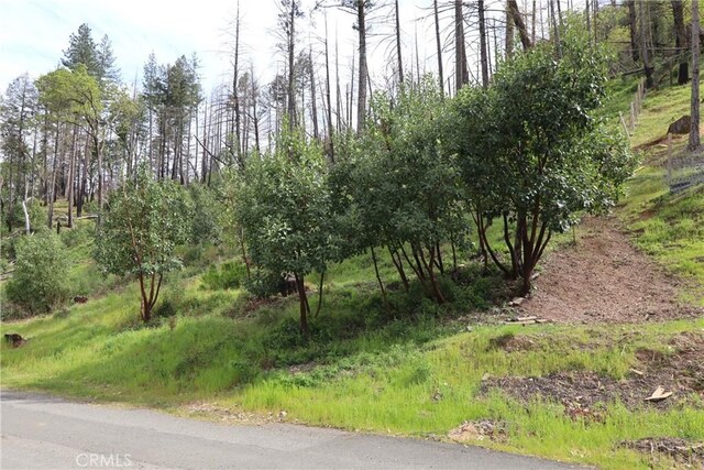 11541 Anderson Springs Rd, Middletown, CA 95461 - photo 9