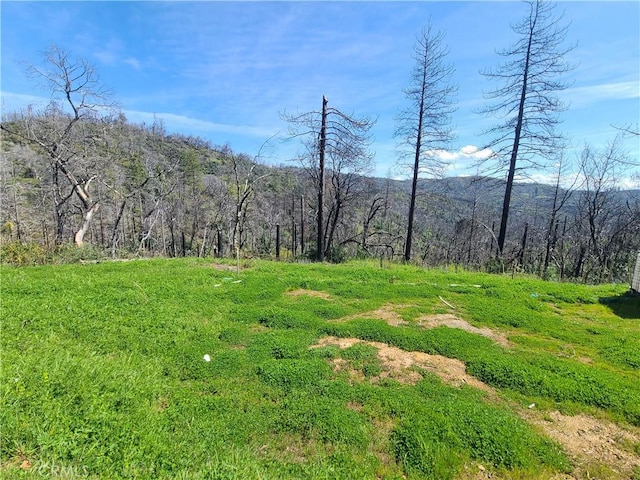 Listing photo 3 for 519 Little Ridge Rd, Berry Creek CA 95916