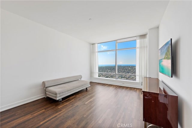 sitting room with dark wood-type flooring