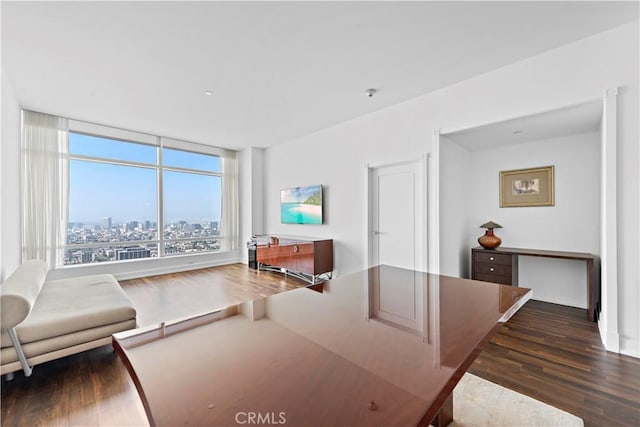 living room featuring dark hardwood / wood-style floors and expansive windows