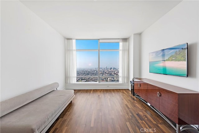 unfurnished room featuring dark wood-type flooring and a healthy amount of sunlight