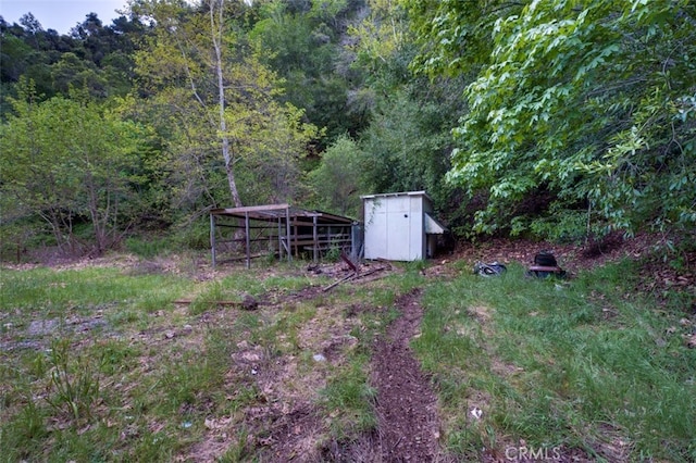 view of yard with a storage shed