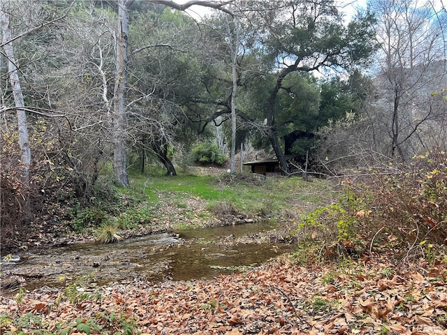 view of local wilderness featuring a water view