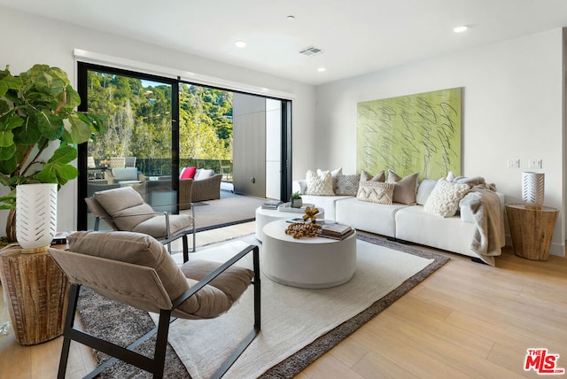 living room featuring light hardwood / wood-style flooring