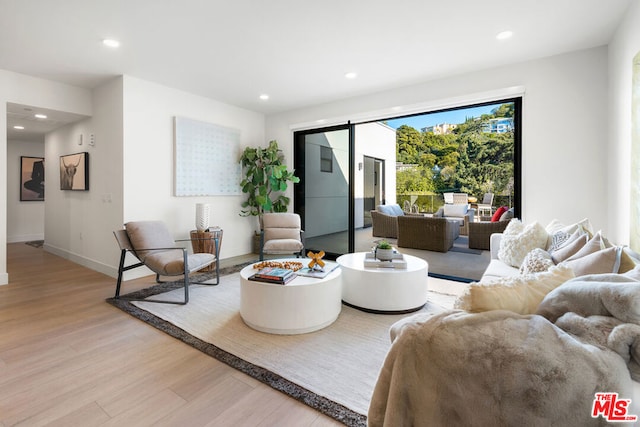 living room with a barn door and light hardwood / wood-style floors