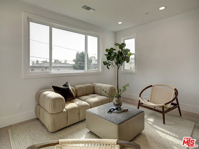 living room with light hardwood / wood-style flooring