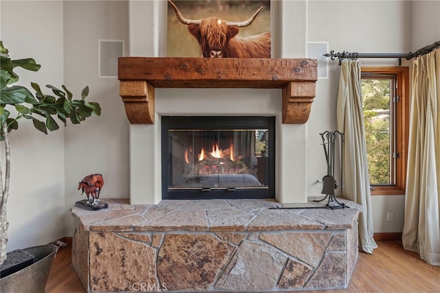 details featuring a fireplace and hardwood / wood-style floors