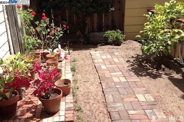 view of yard featuring a patio