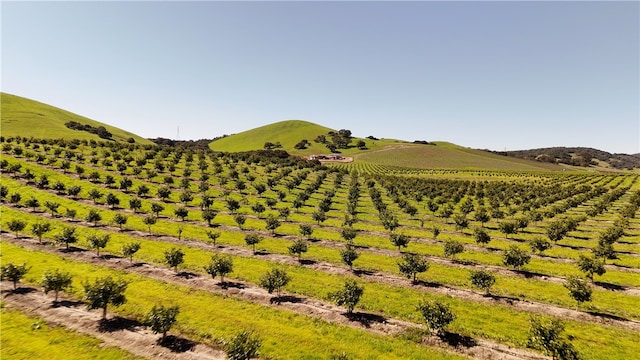 mountain view featuring a rural view