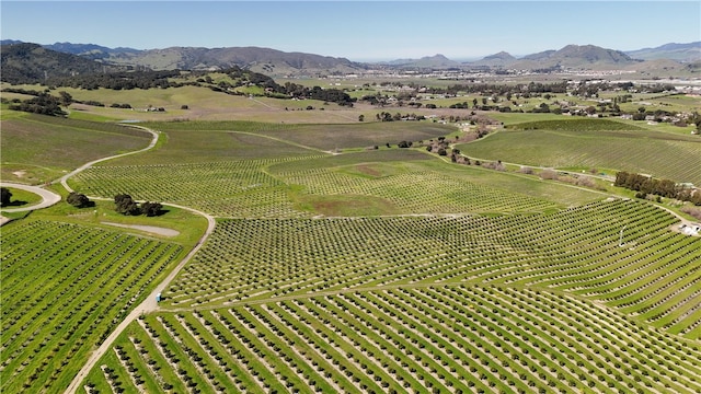 bird's eye view featuring a rural view and a mountain view