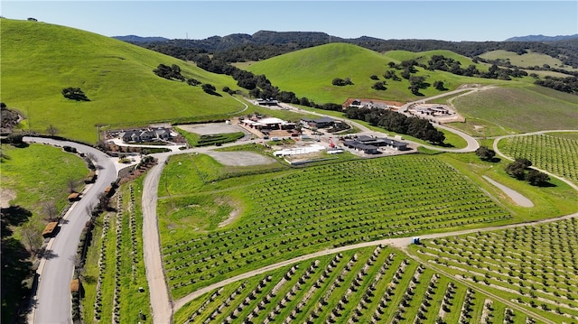 aerial view with a mountain view and a rural view