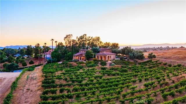 aerial view at dusk with a rural view