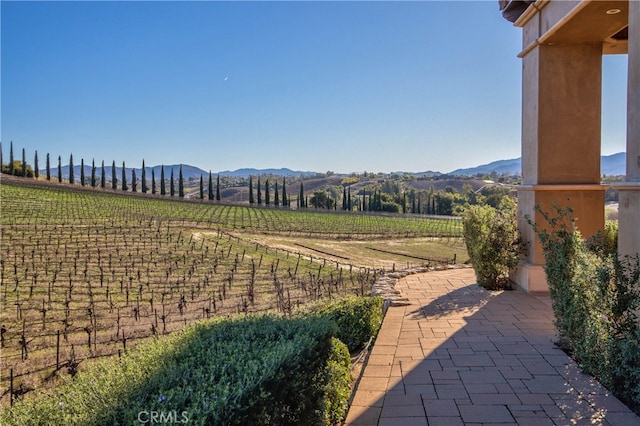 view of yard with a mountain view