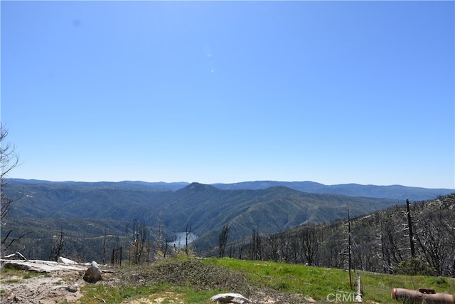 151 Tipsoo Peak Rd, Berry Creek CA, 95916 land for sale