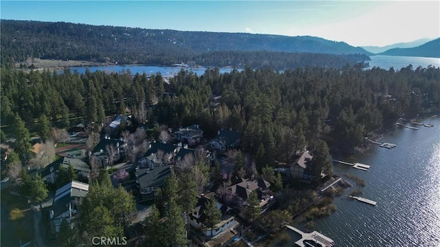 39802 Lakeview Dr Unit 12, Big Bear Lake, CA 92315 - bird's eye view with a wooded view and a water and mountain view