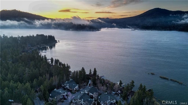 39802 Lakeview Dr Unit 12, Big Bear Lake, CA 92315 - water view featuring a mountain view and a view of trees