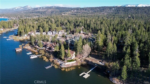 39802 Lakeview Dr Unit 12, Big Bear Lake, CA 92315 - bird's eye view with a forest view and a water and mountain view