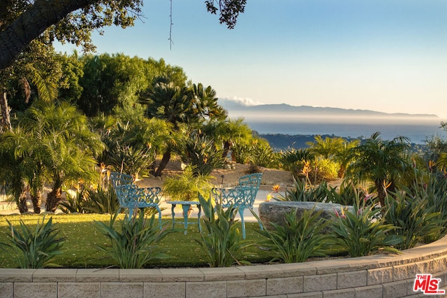 view of water feature