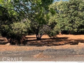 Listing photo 3 for 3582 Crestwood Dr, Kelseyville CA 95451