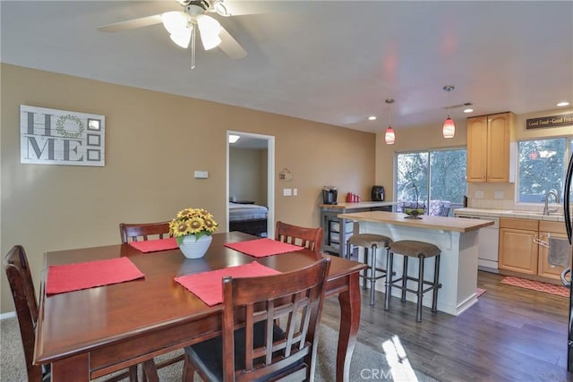 dining space with ceiling fan, sink, and dark hardwood / wood-style floors